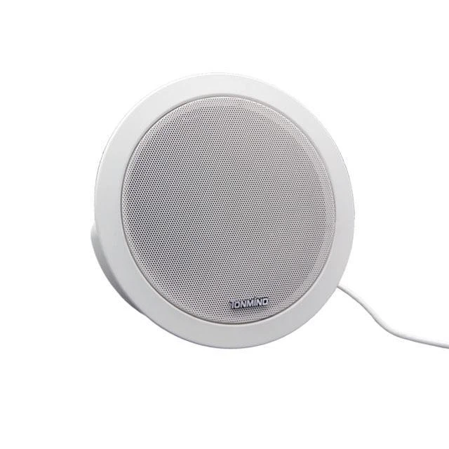 In Wall Ceiling Speaker